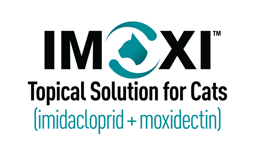 Imoxi Topical Solution for Cats