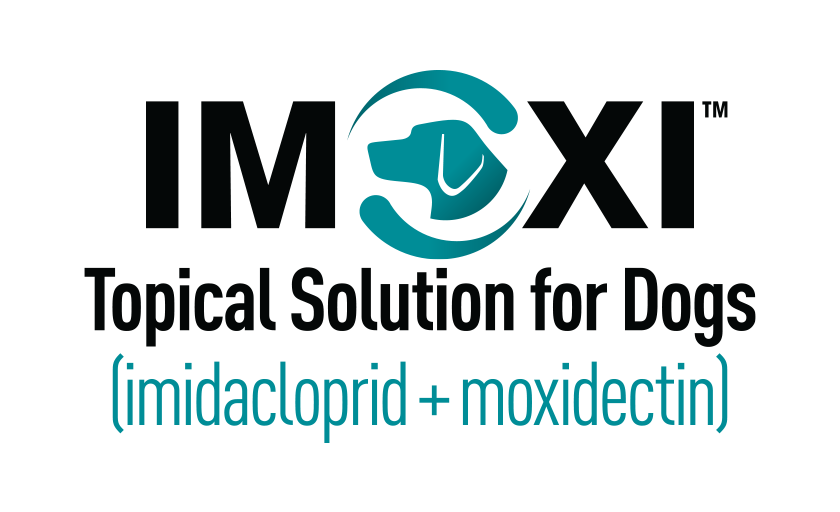 Imoxi Topical Solution for Dogs