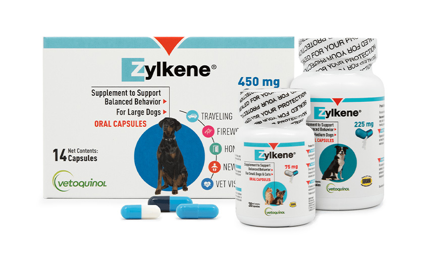 news-zylkene-group.jpg Zylkene products