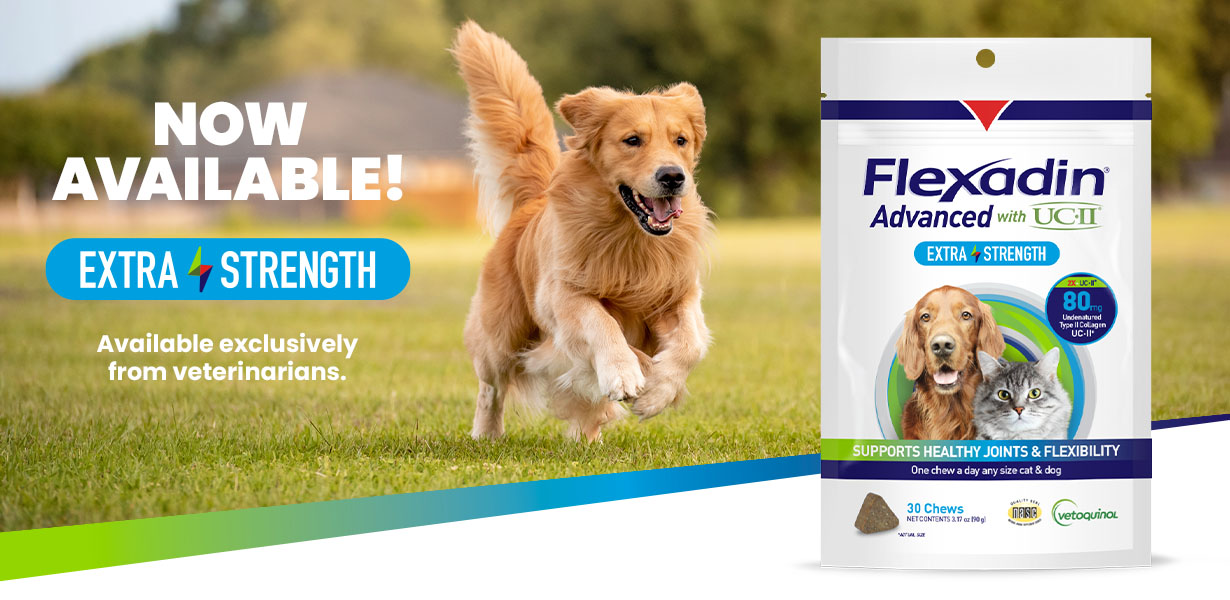 Flexadin Advanced Original Chien - VETINPARIS