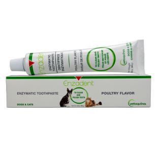 Enzadent Enzymatic Toothpaste