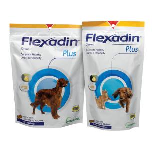 Flexadin Plus Chews